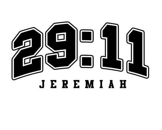 29:11-33