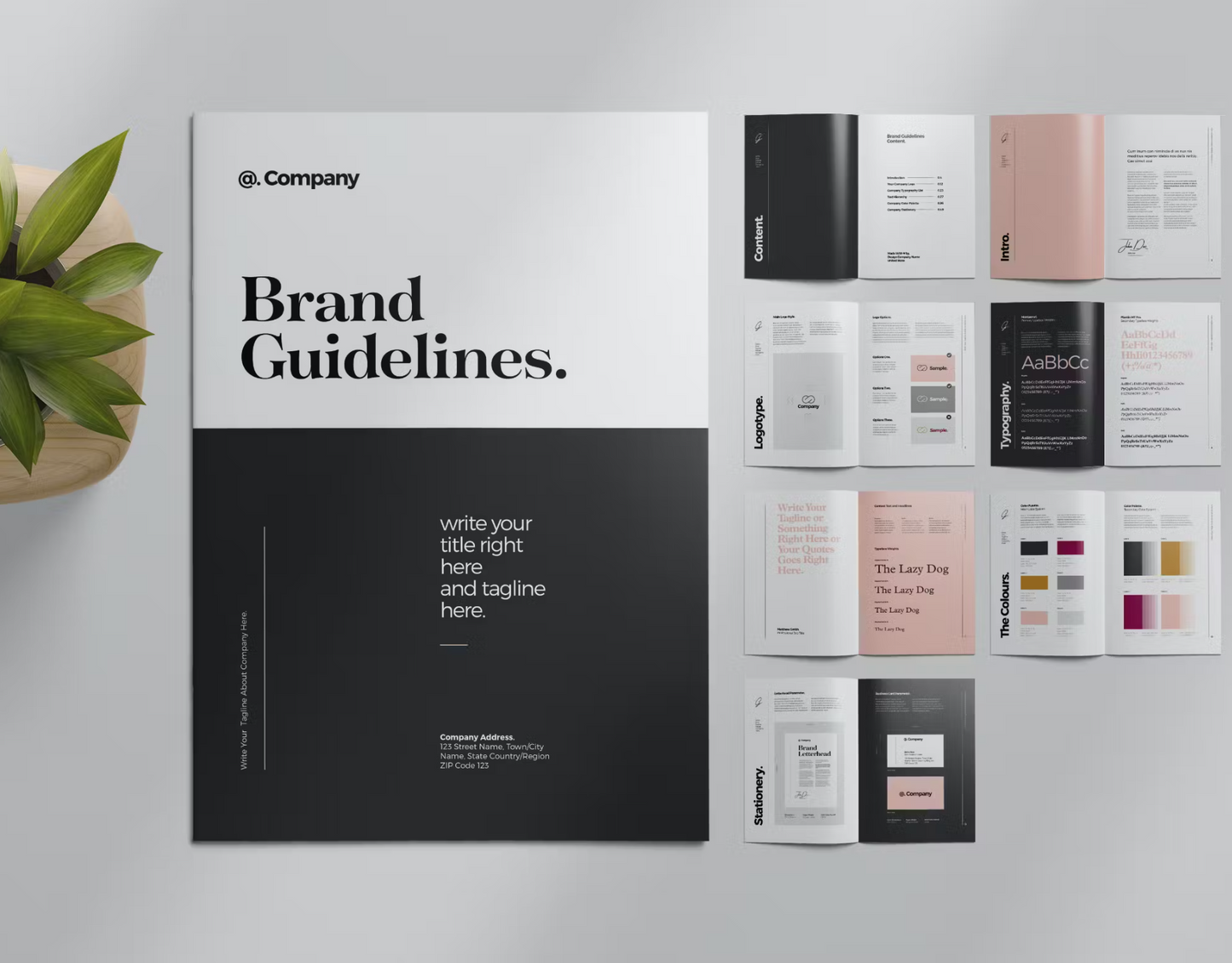 BRANDING GUIDE